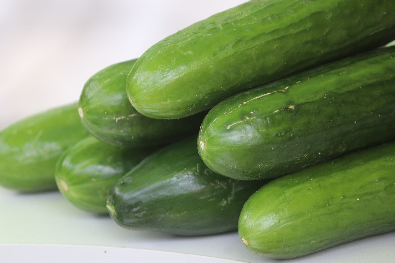 Cucumber Marketmore Vegetable Seeds 30 Seed Pack