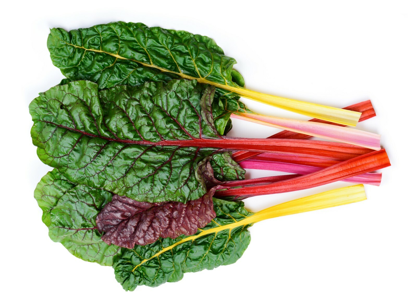 Rainbow Swiss Chard Seeds 50 Ct Vegetable Garden NON-GMO USA FREE SHIPPING