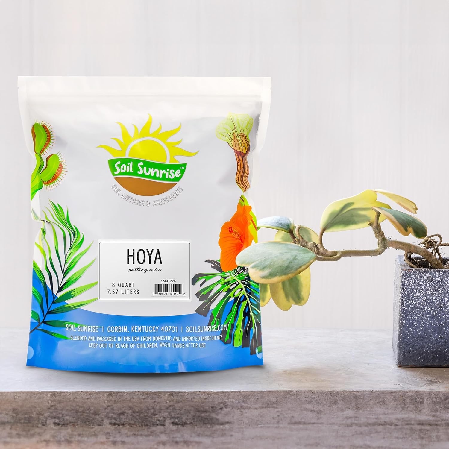 Hoya Plant Potting Soil Mix (8 Quarts), Custom Blend for Growing 8 Quarts