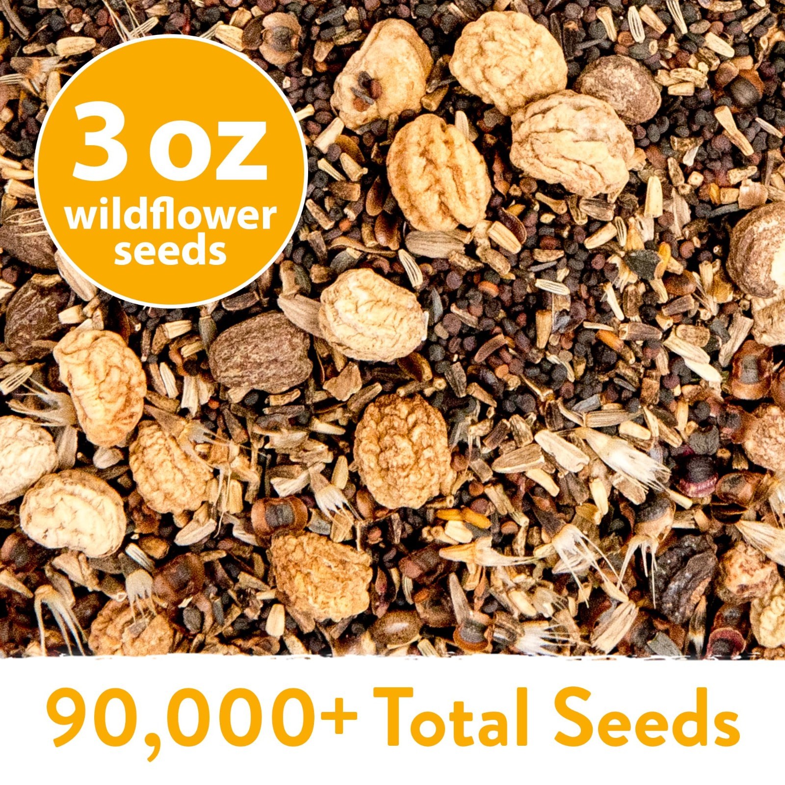 Wildflower Seeds Bulk Mix – 90,000+ Non-GMO Perennial Flower Seeds for Garden |