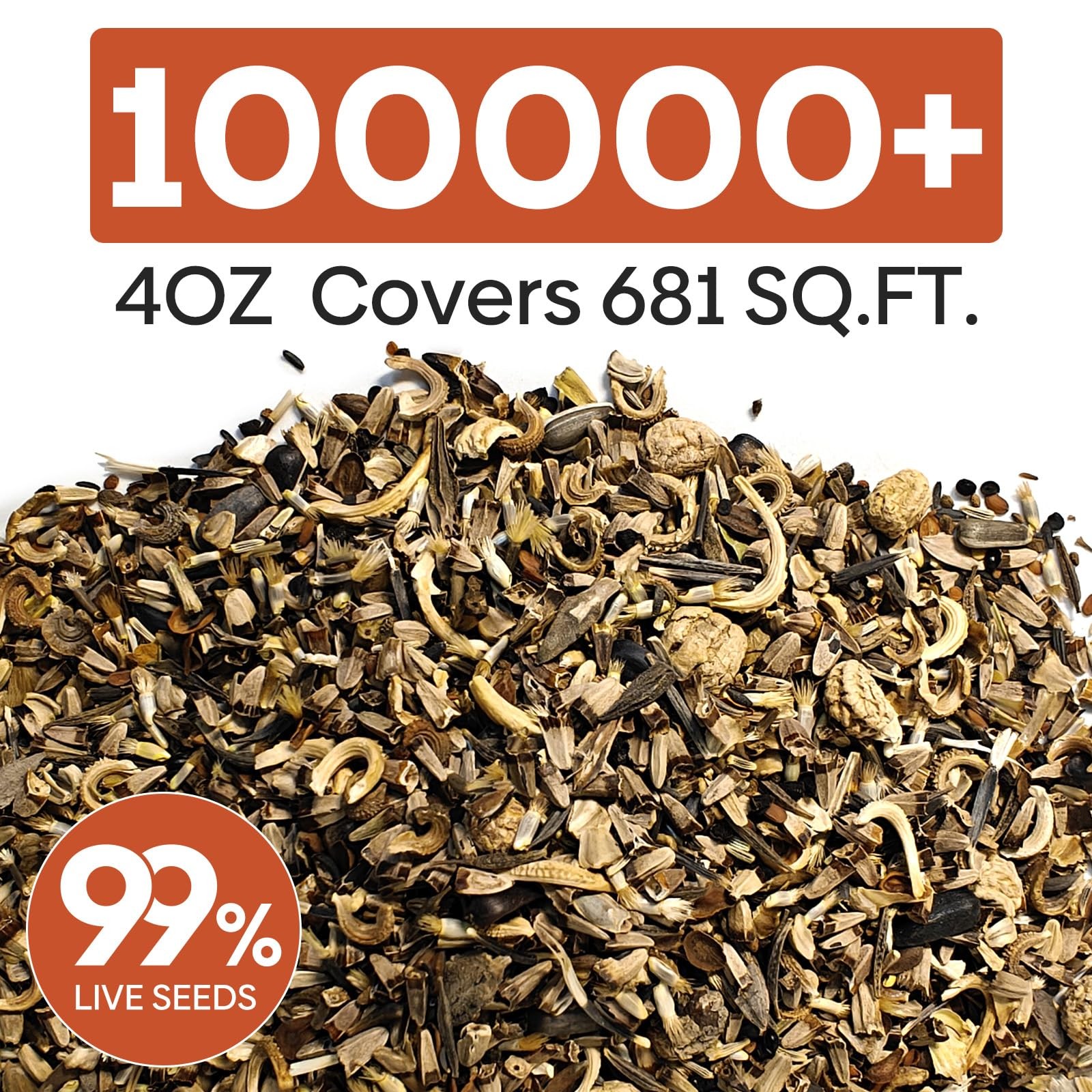 Wildflower Seeds Bulk 1/4 lb 100000 Seeds 26 Variety Mix Fits Zones 310