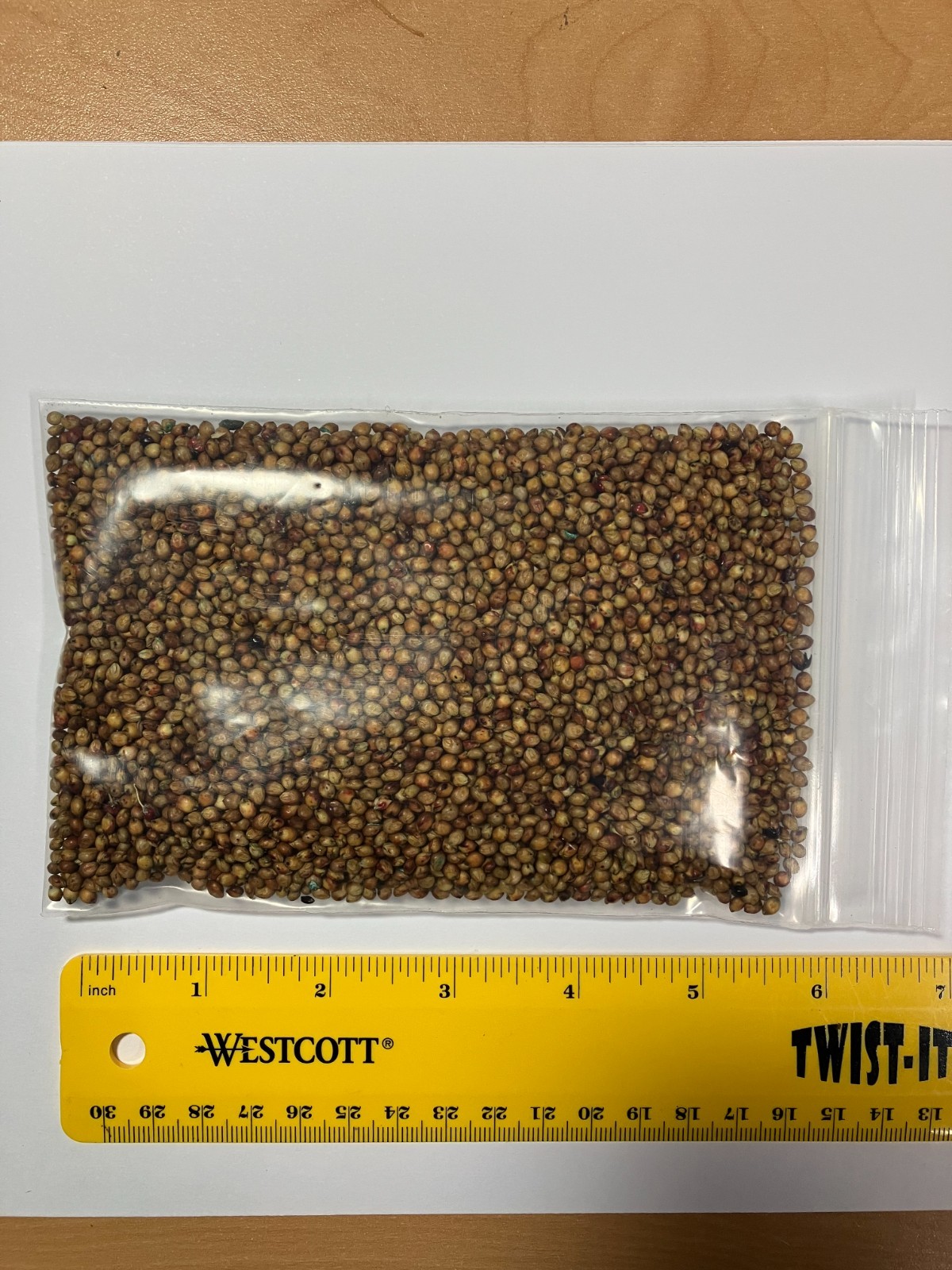 Sweet Sugar Drip Sorghum Seeds 4 Ounce Bag 5,000 Seeds