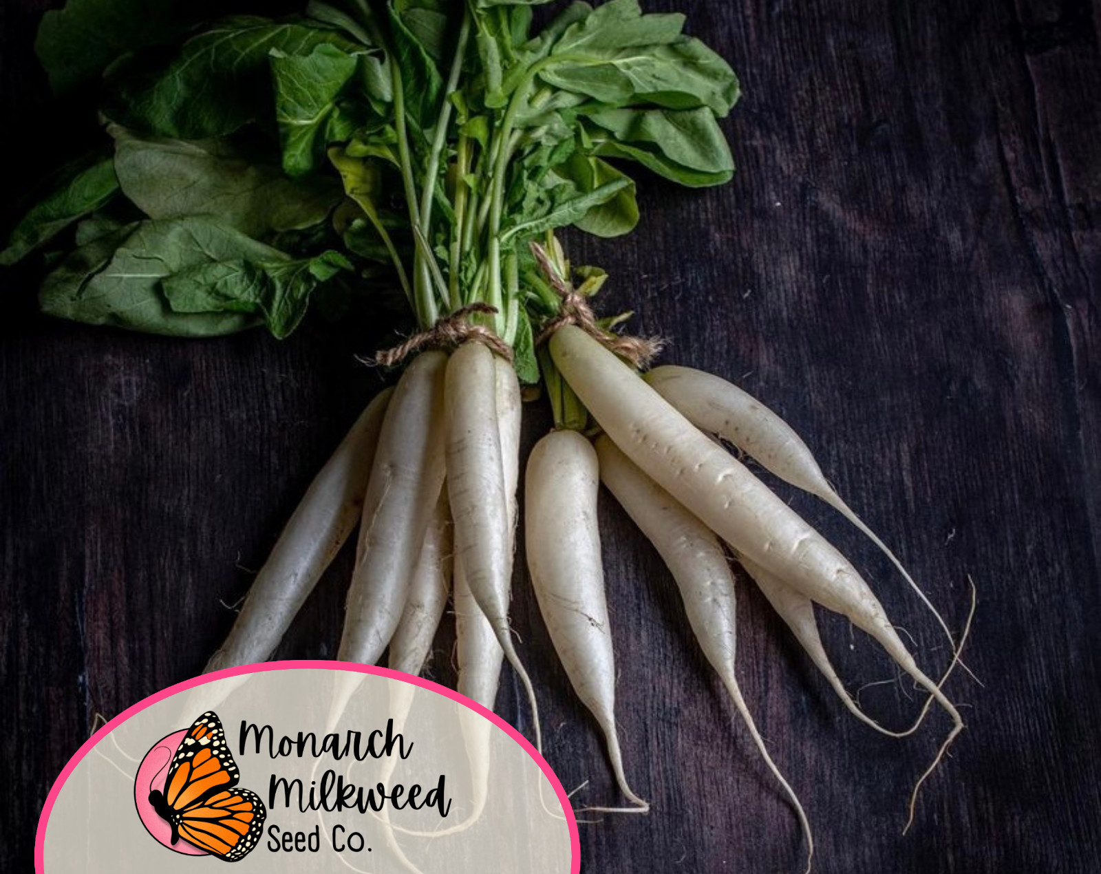 1,200+ Radish Seeds ‘White Icicle’ | Heirloom, Non-GMO, Vegetable Gardening Seed