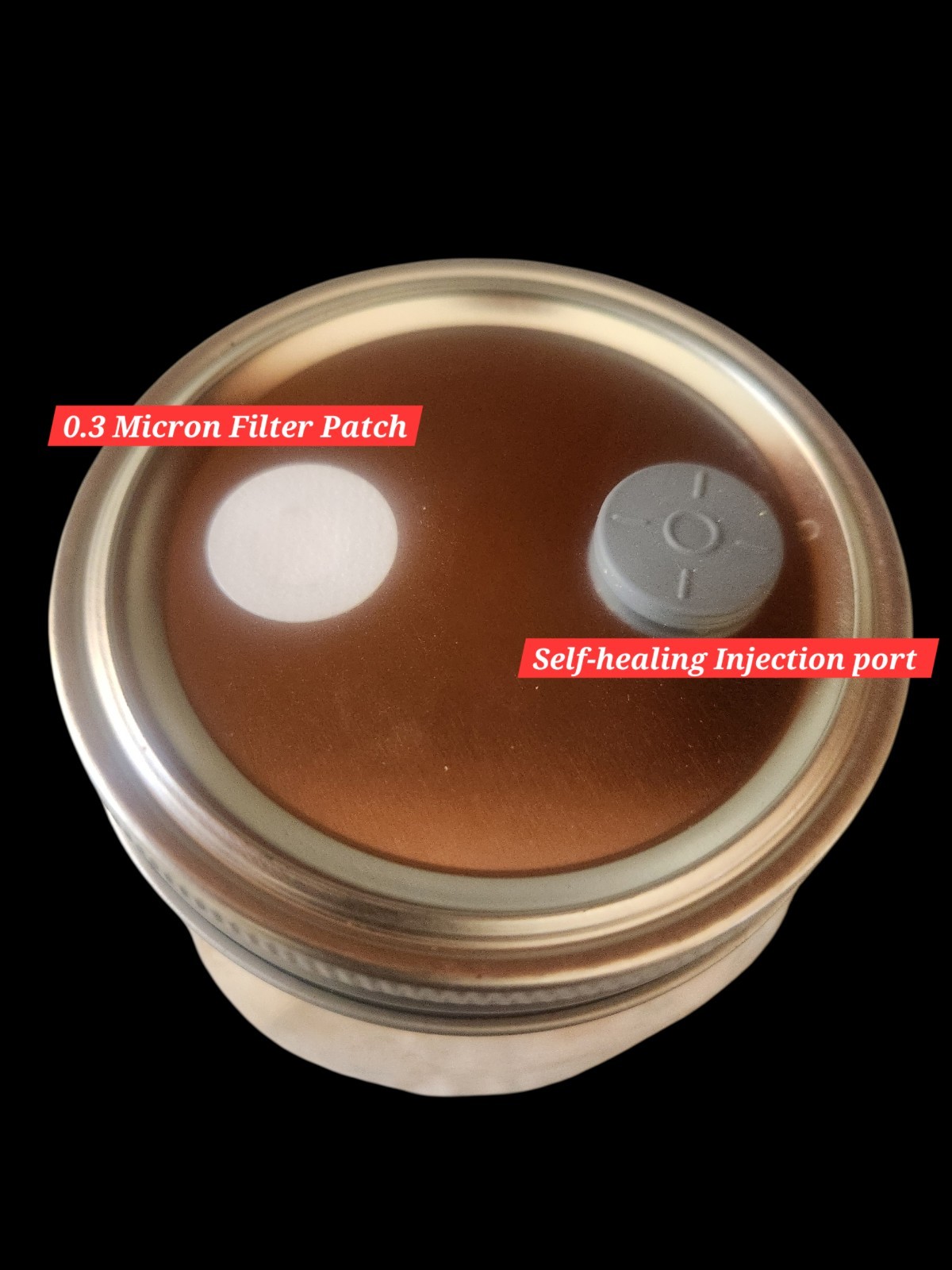 VELVET PIOPPINO Mushroom Colonized Grain Spawn, 1 Quart