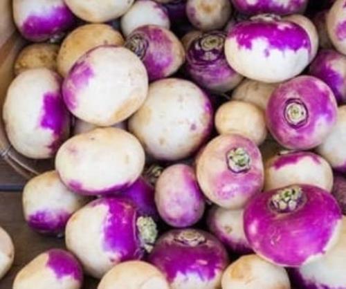 Purple Top Turnips – Seeds – Organic – Non Gmo – Heirloom Seeds – Vegetable Seed