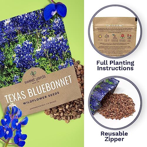 Texas Bluebonnet Wildflower Seeds – Bulk 1/2 Ounce Packet – Over 500 Native S…
