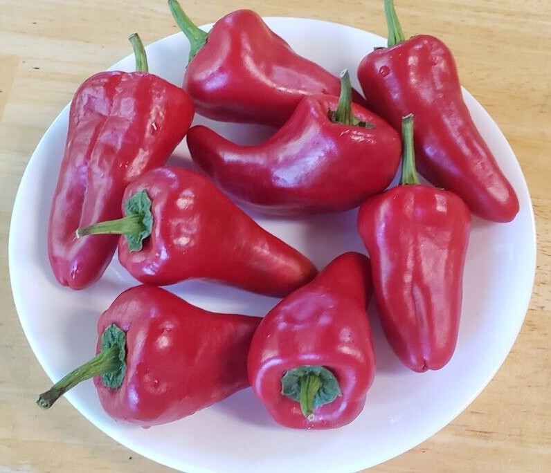 Leutschauer Paprika Pepper (25 Seeds) Free Shipping, great for paprika!