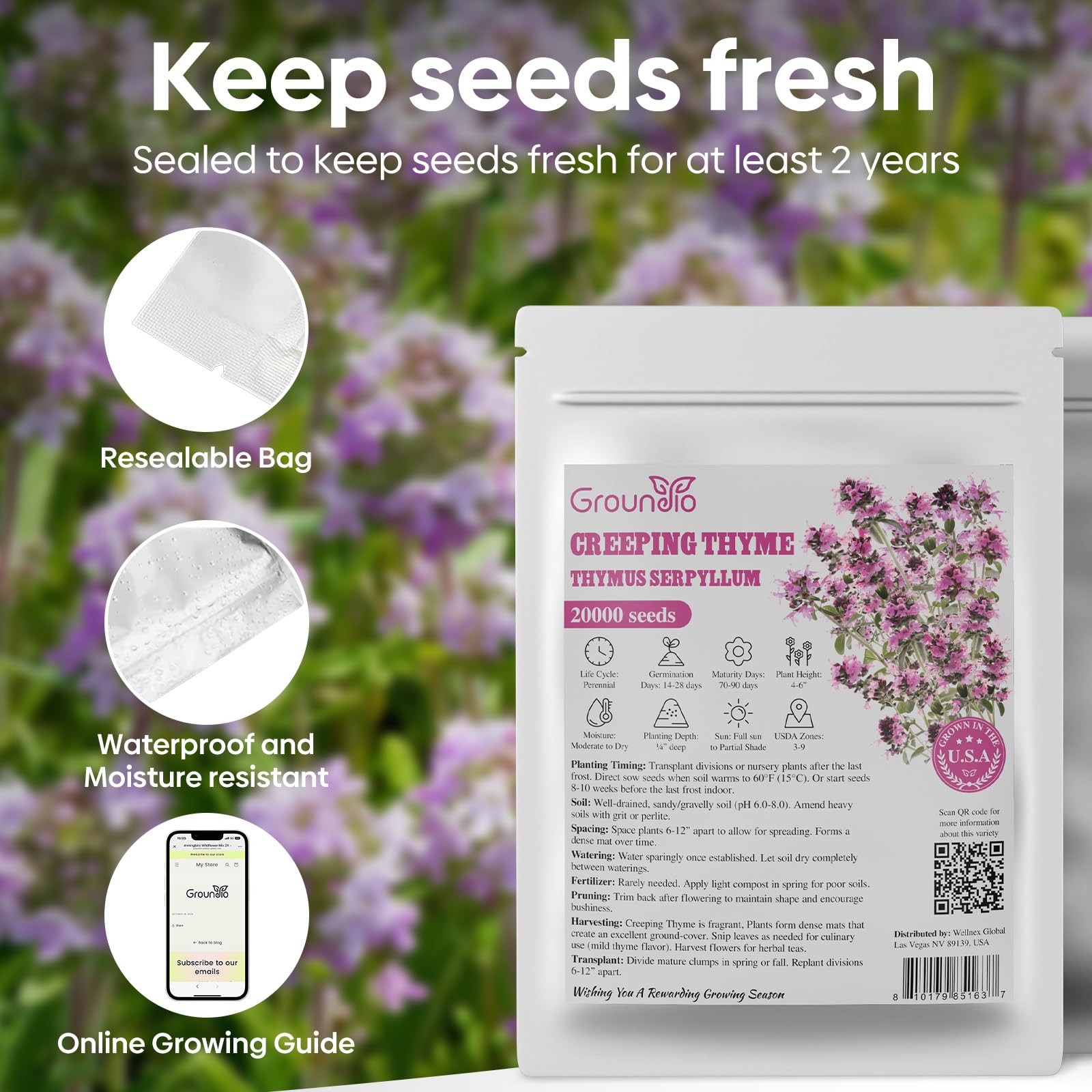 20000+ Creeping Thyme Seeds Ground Cover Plant, Perennial Thyme Flower Seeds …