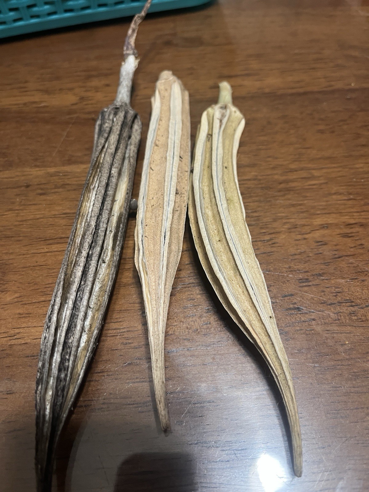 Organic Clemson Spineless Okra Seeds. 1 Tbsp Of Seeds Approximately 150 Seeds