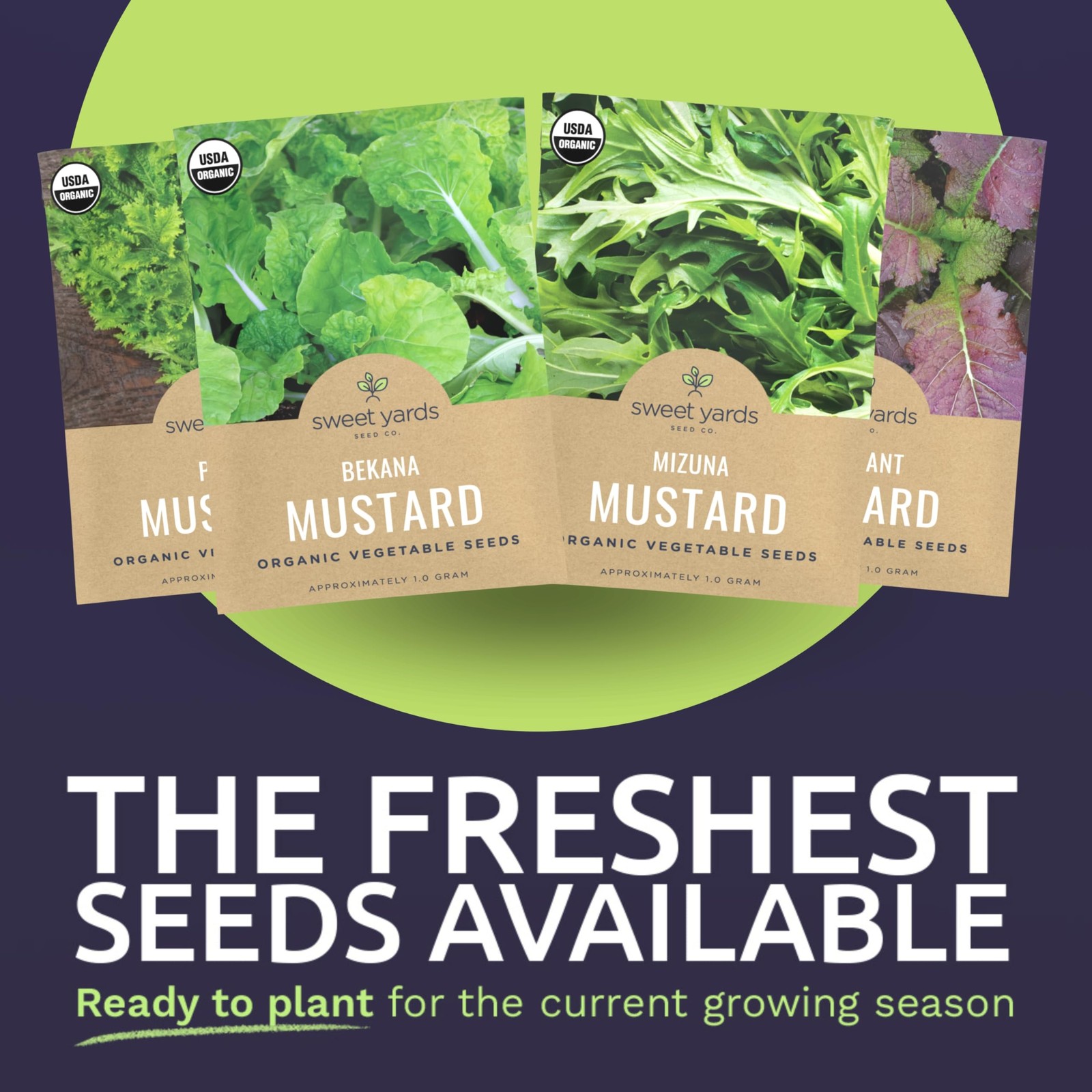 Organic Mustard Green Seeds Variety Pack – 4 Individual variety pack,