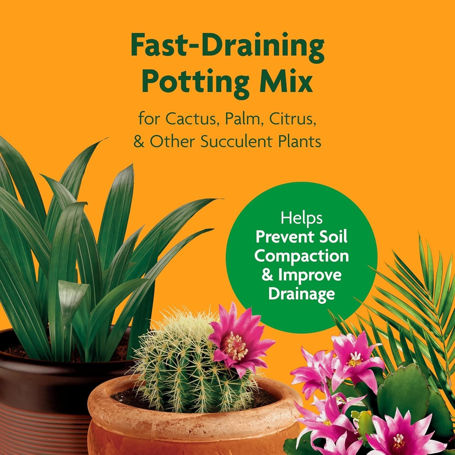 Fast-Draining Cactus and Citrus Potting Mix – 8 Qt. x 2 Pack for Vibrant Plants