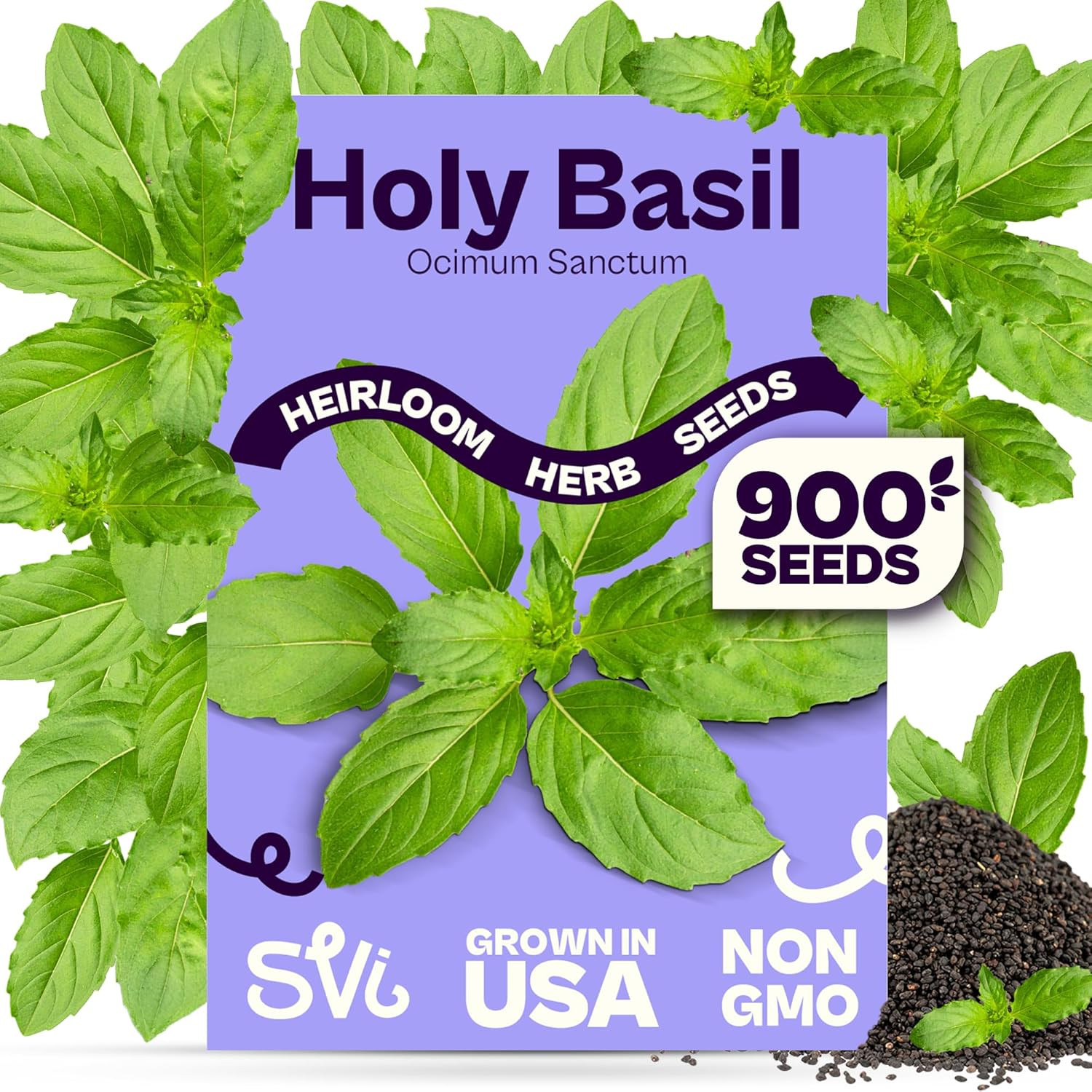 900 Holy Basil Seeds (Ocimum Sanctum) – Sacred Krishna Tulsi Seed Packets, Fragr