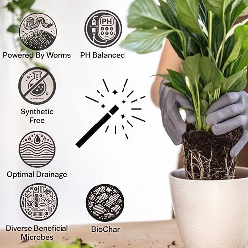Organic Potting Mix for Indoor Plants – Well-Draining Soil, Chunky & Peat-Free,