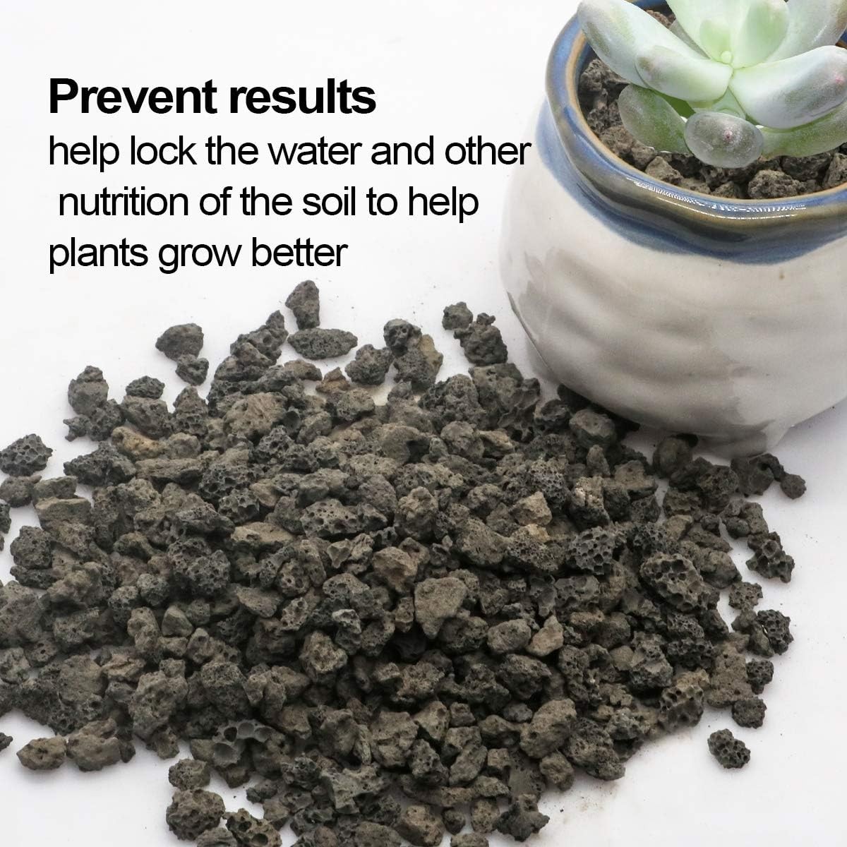 6lb Black Lava Rock for Plants – Ideal Drainage & Nutrient-Rich Garden Stones