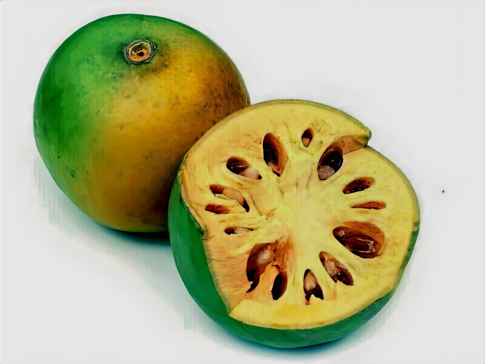 10 Bael Fruit Tree Seeds (Aegle marmelos) Bengal Quince Stone Apple Plant RARE!