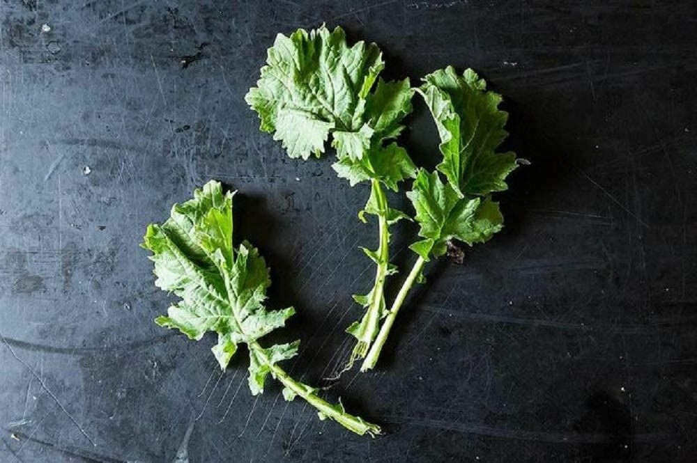 Broccoli Raab, Rapini Seeds, ,”COOL BEANS N SPROUTS” Brand. Home Gardening.