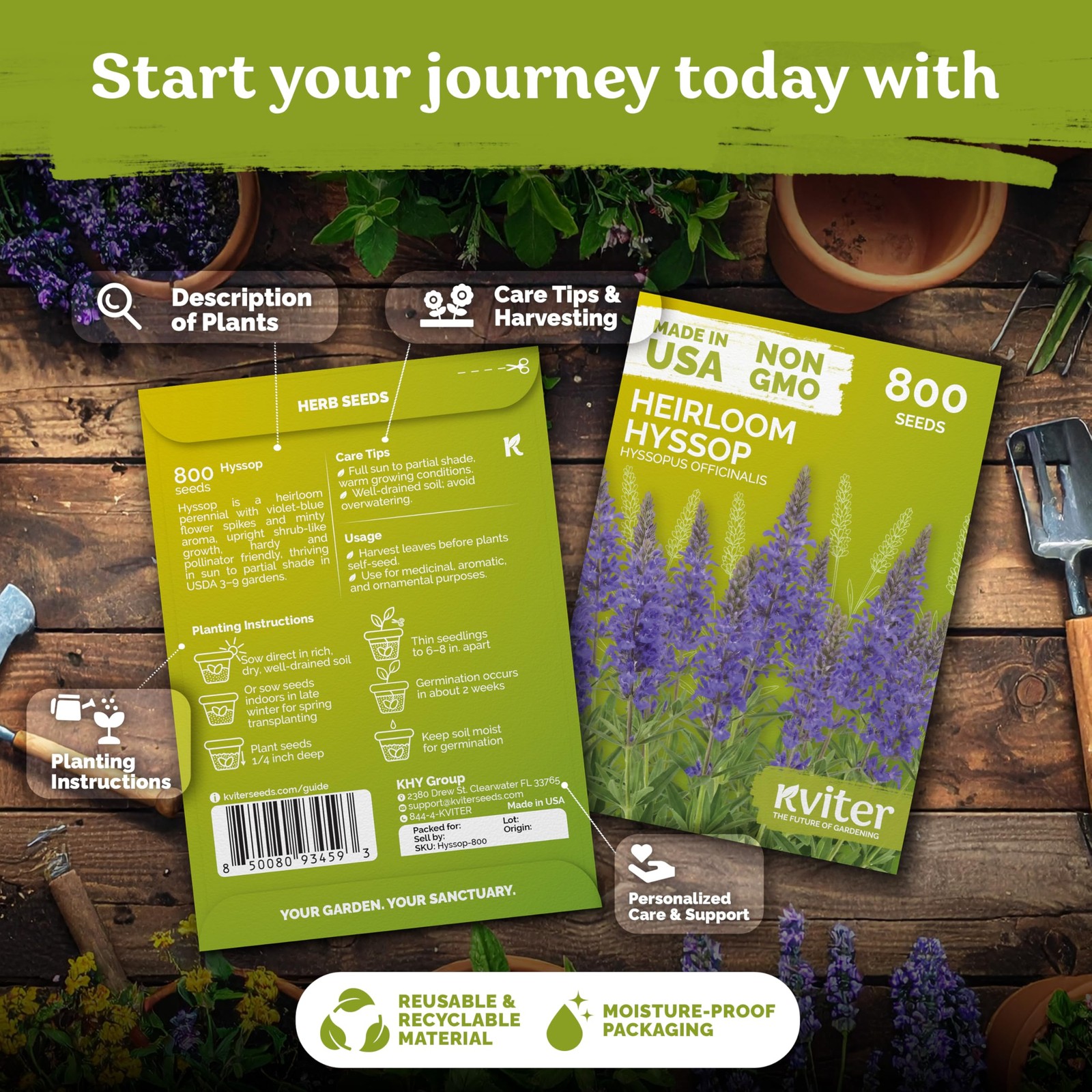 KVITER 800 Hyssop Seeds (Hyssopus Officinalis)