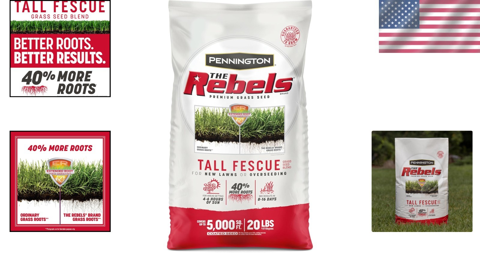 High Traffic Resistant Tall Fescue Grass Seeds – 20 lb