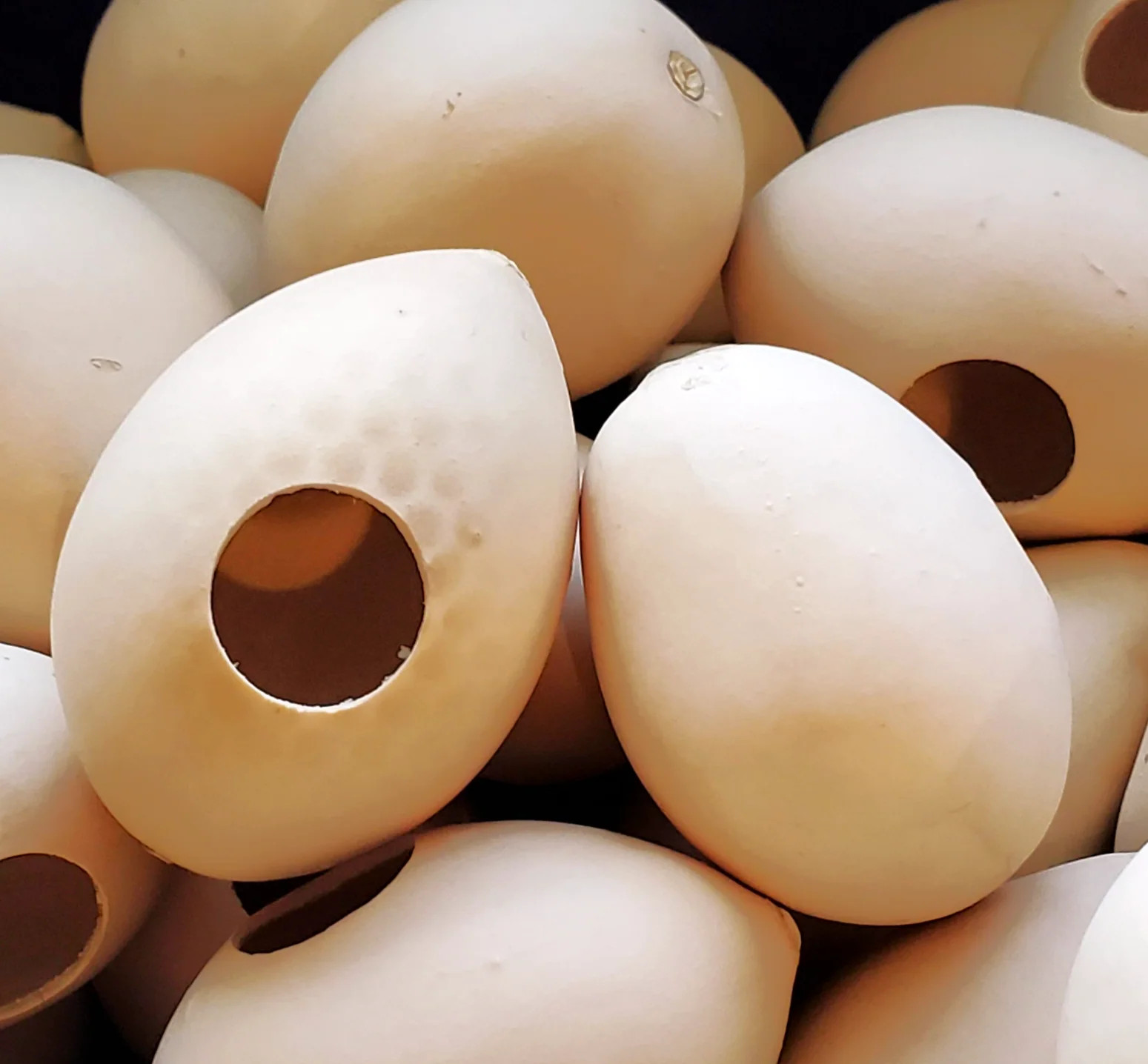 Ozark Nest Egg Ornamental Gourd Seeds – For 2025 Planting Dragon Eggs Cucumber