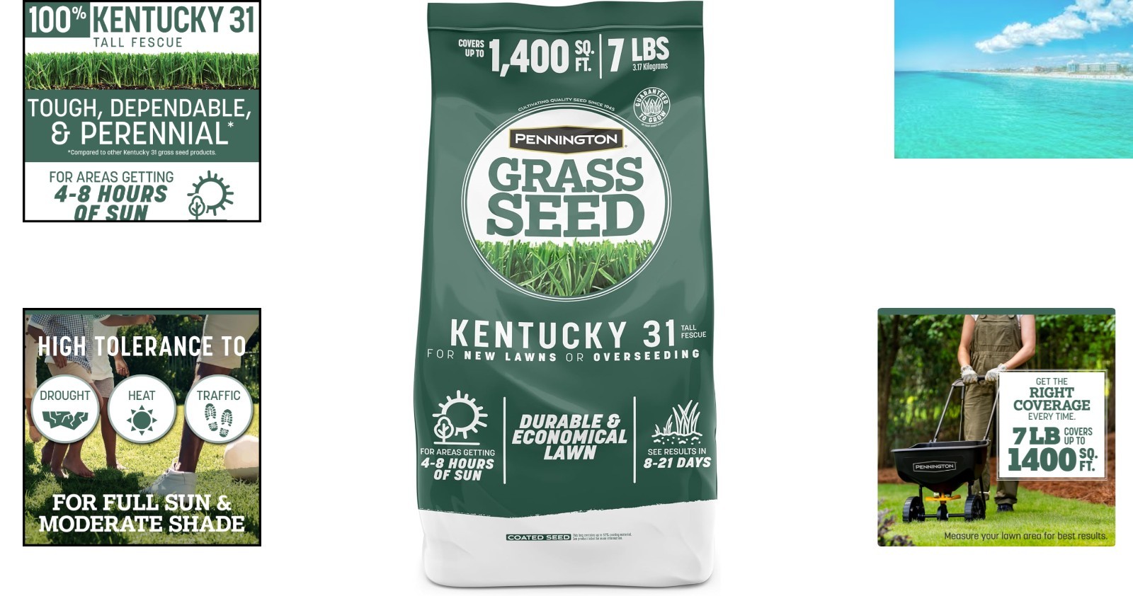 Kentucky 31 Fescue Grass Seed – 7 LB for Quick Establishment and Resilience