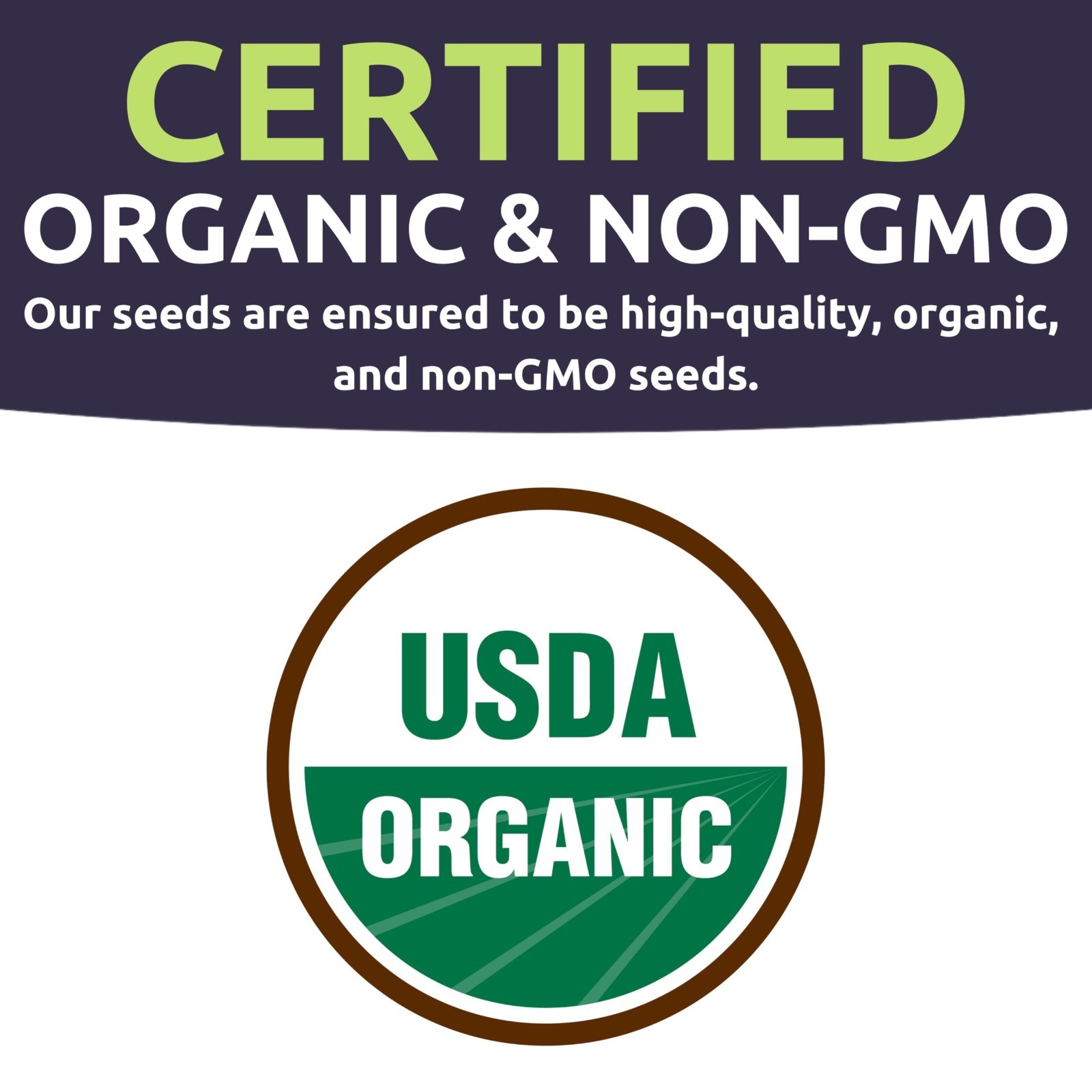 Organic Tomato Seed Variety Pack – 17 Non-GMO Seeds for Indoor/Outdoor Planting