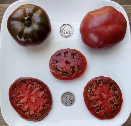 Mrtomatohead’s Top Ten 10, +25 Seed packets of my all time favorites! Will sub