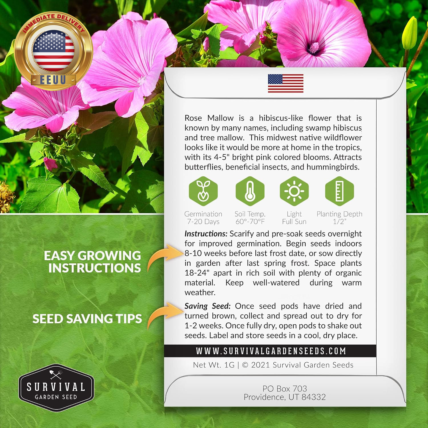 Rose Mallow Seeds for Planting – Annual Lavatera Trimestris with Bright Pink Flo