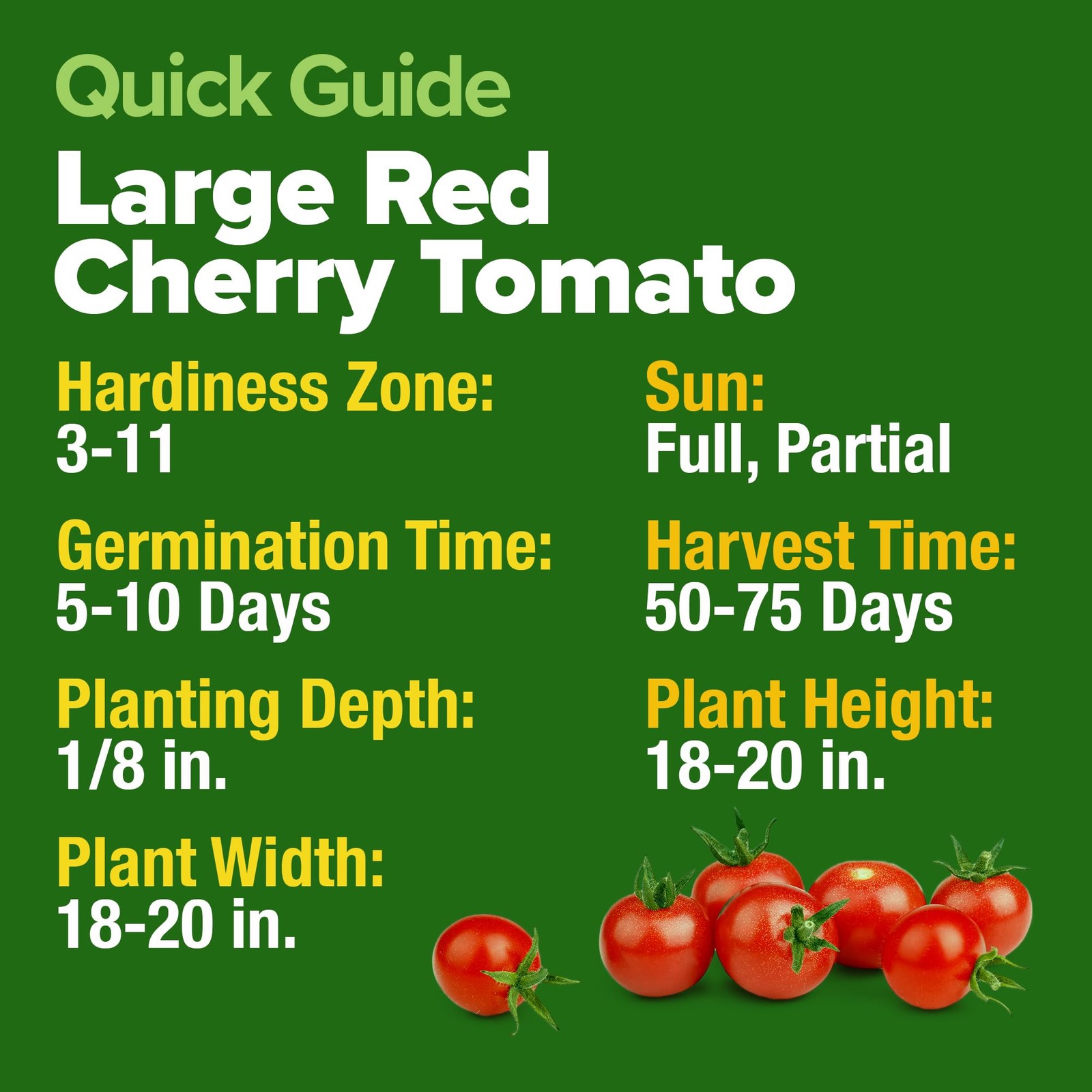 Large Red Cherry Tomato Seeds 2 Pack (Solanum lycopersicum) – Approx.1000 Non…