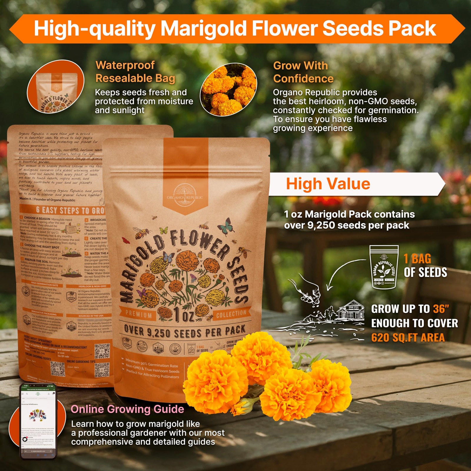 Marigold Seeds Pack 1 oz – Over 1oz, Orange, Yellow, Red, Green