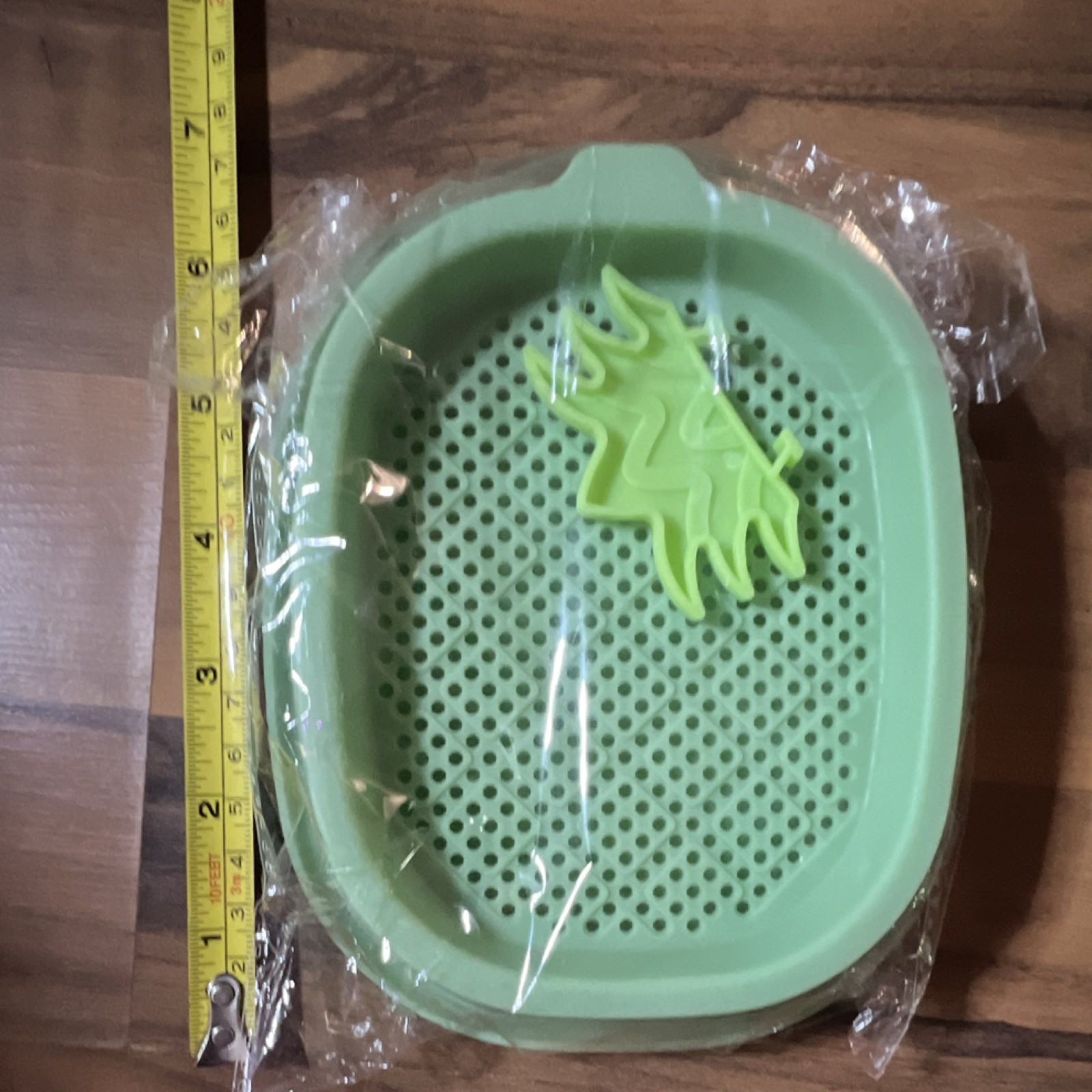 Green Plastic seed sprouting tray, Small 7 in, Easy Clean