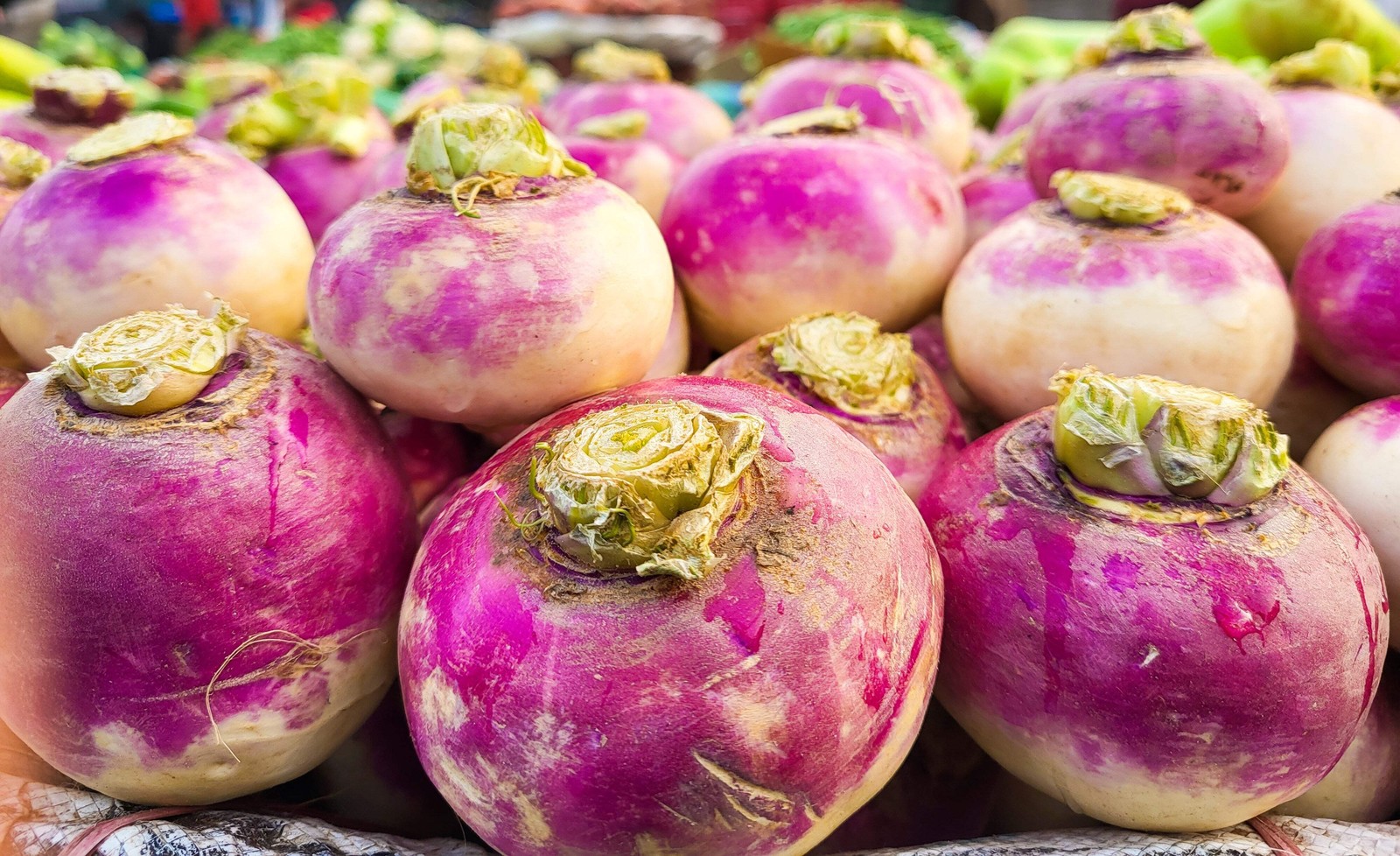 3000 PURPLE Top WHITE Globe TURNIP Brassica Rapa Vegetable Seeds