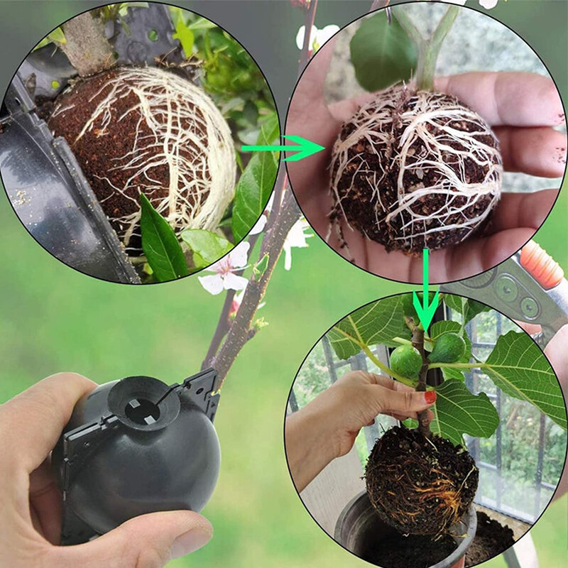 Tree Root Growing Box Rooting Ball Grafting Tool High Pressure Plant Propagation