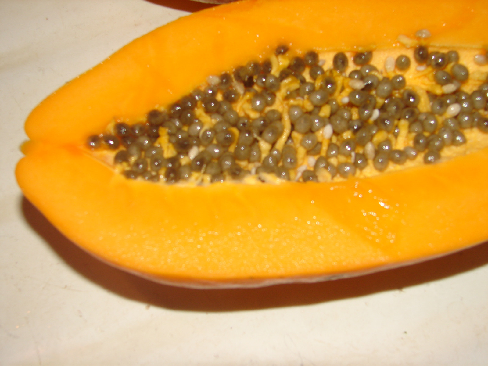 ~LAIE GOLD~ HYBRID PAPAYA Kamiya Yellow Flesh Solo X-77 UH Cultivar 60+ SEEDS