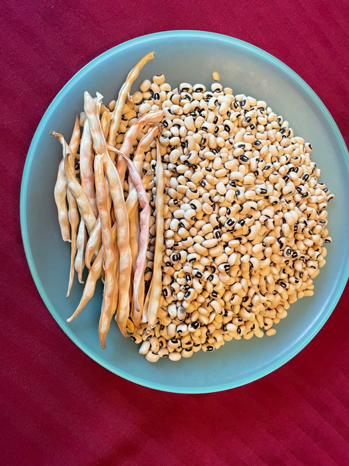 50+ Black-eyed Pea Seeds. Prolific Delicious