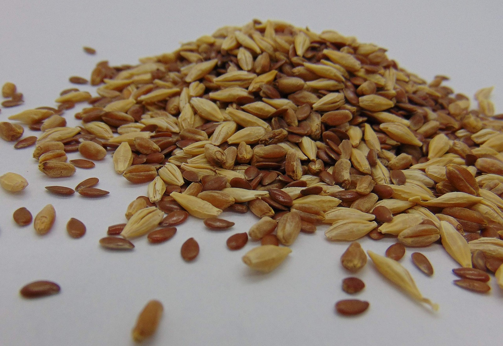 Cat Grass Seeds Mix – Wheatgrass, Flax & Barley – Non-GMO USA Grown