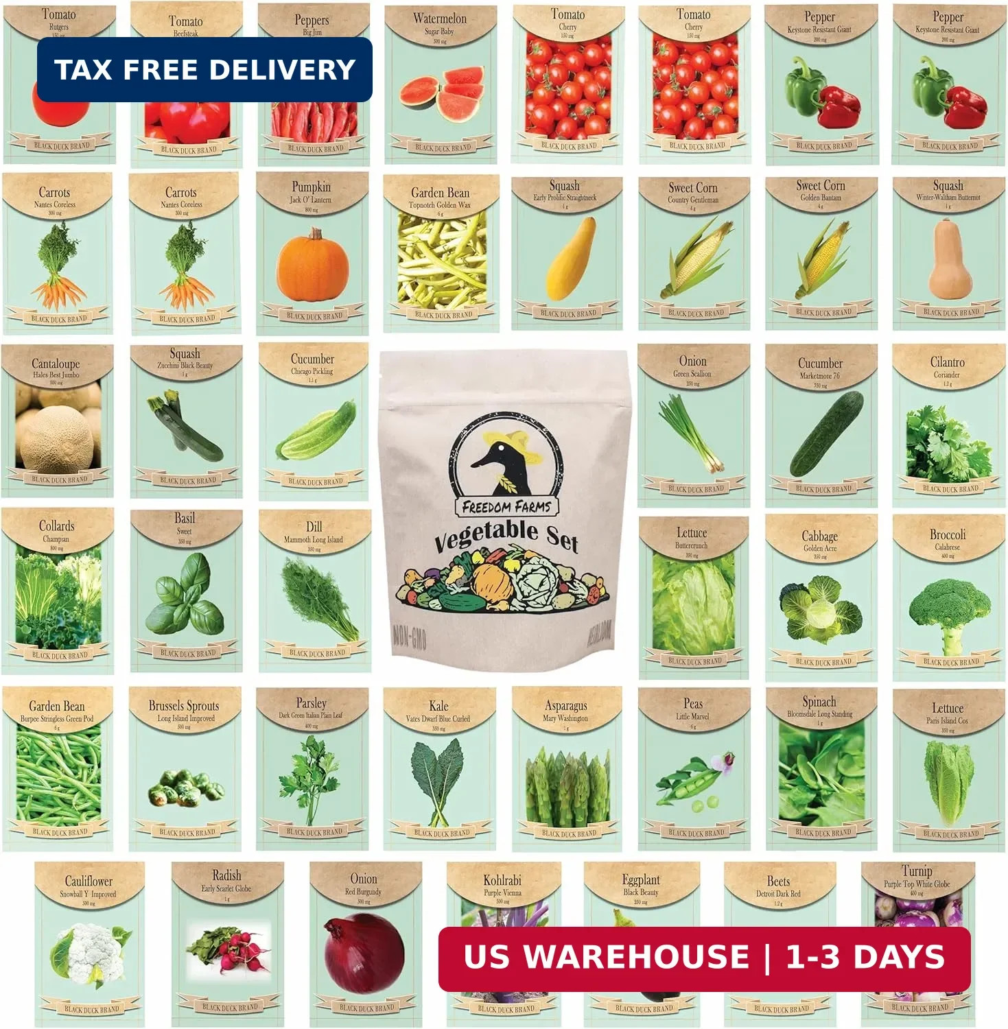 Set of 43 Assorted Vegetable & Herb Seed Packets – Over 10,000 Seeds! – Includes