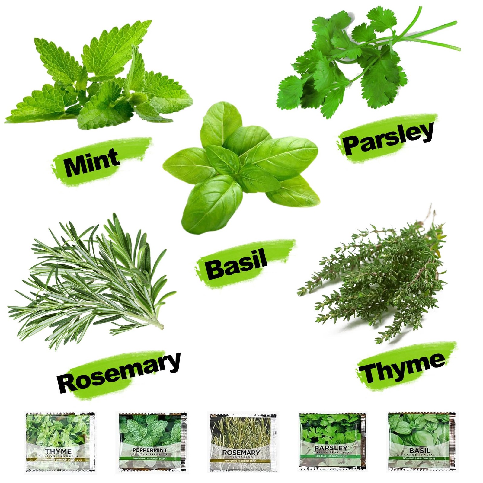 5 Herb Indoor Starter Kit, Complete Planting Set for Kitchen Herb Garden DIY …