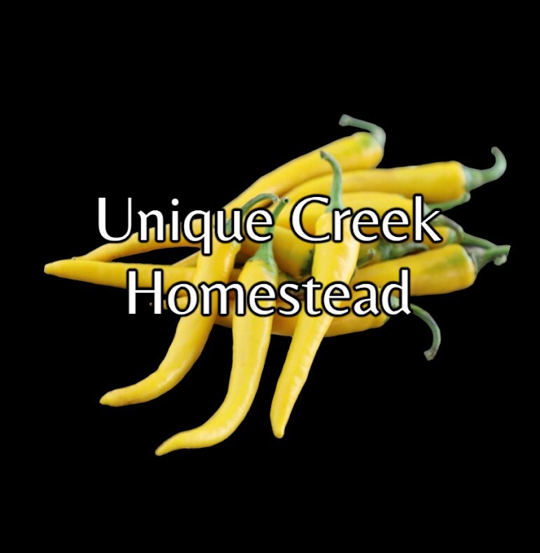 YELLOW Cayenne Spicy Chili Pepper Seeds Organically Grown Unique Creek Homestead