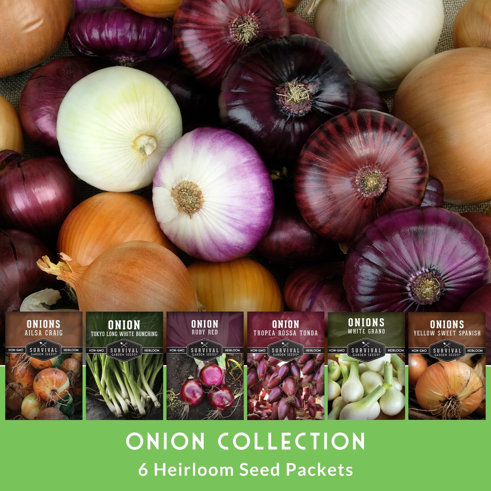 Onion Seeds for Planting – 6 Variety Pack Collection | Ruby Red, Multicolor