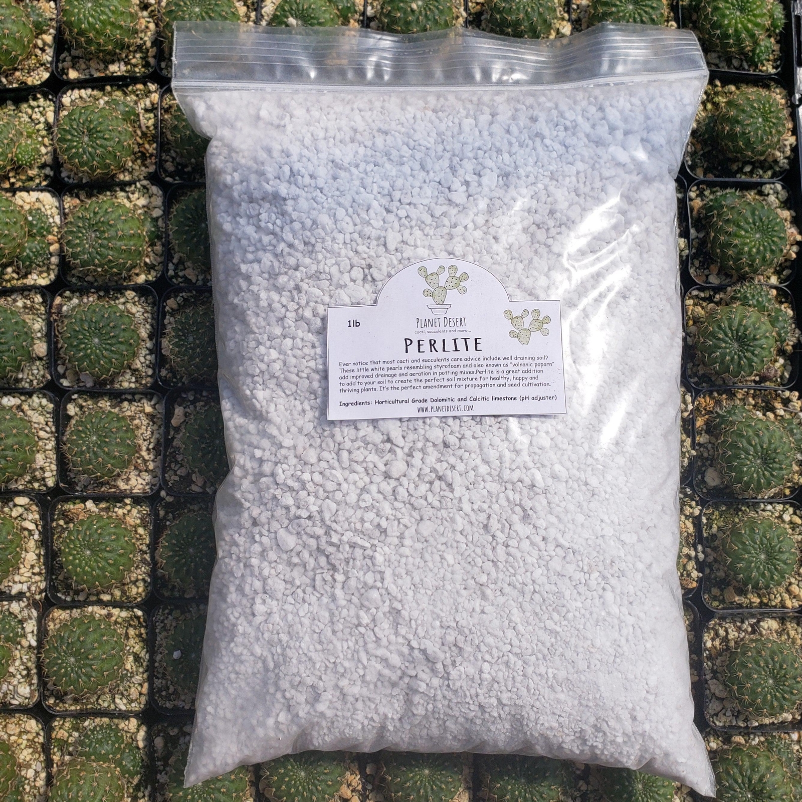 Perlite 4 Quarts porosity soil amendment for cactus and succulents cactus Cacti