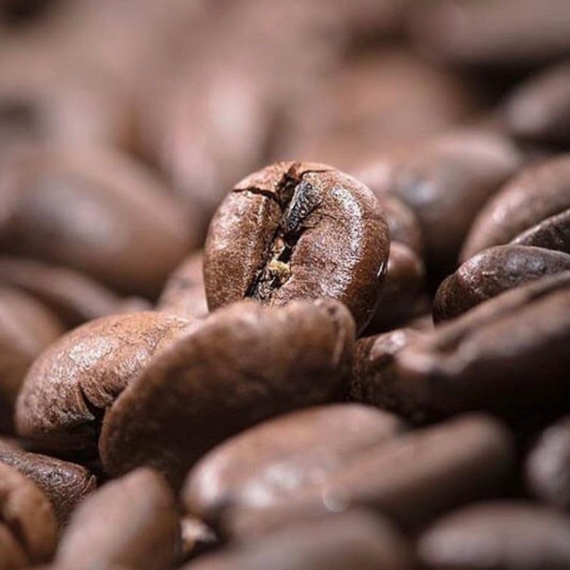 Dominican Jarabacoa Coffee Bean Seeds (25) / DELICIOUS / Easy / RARE