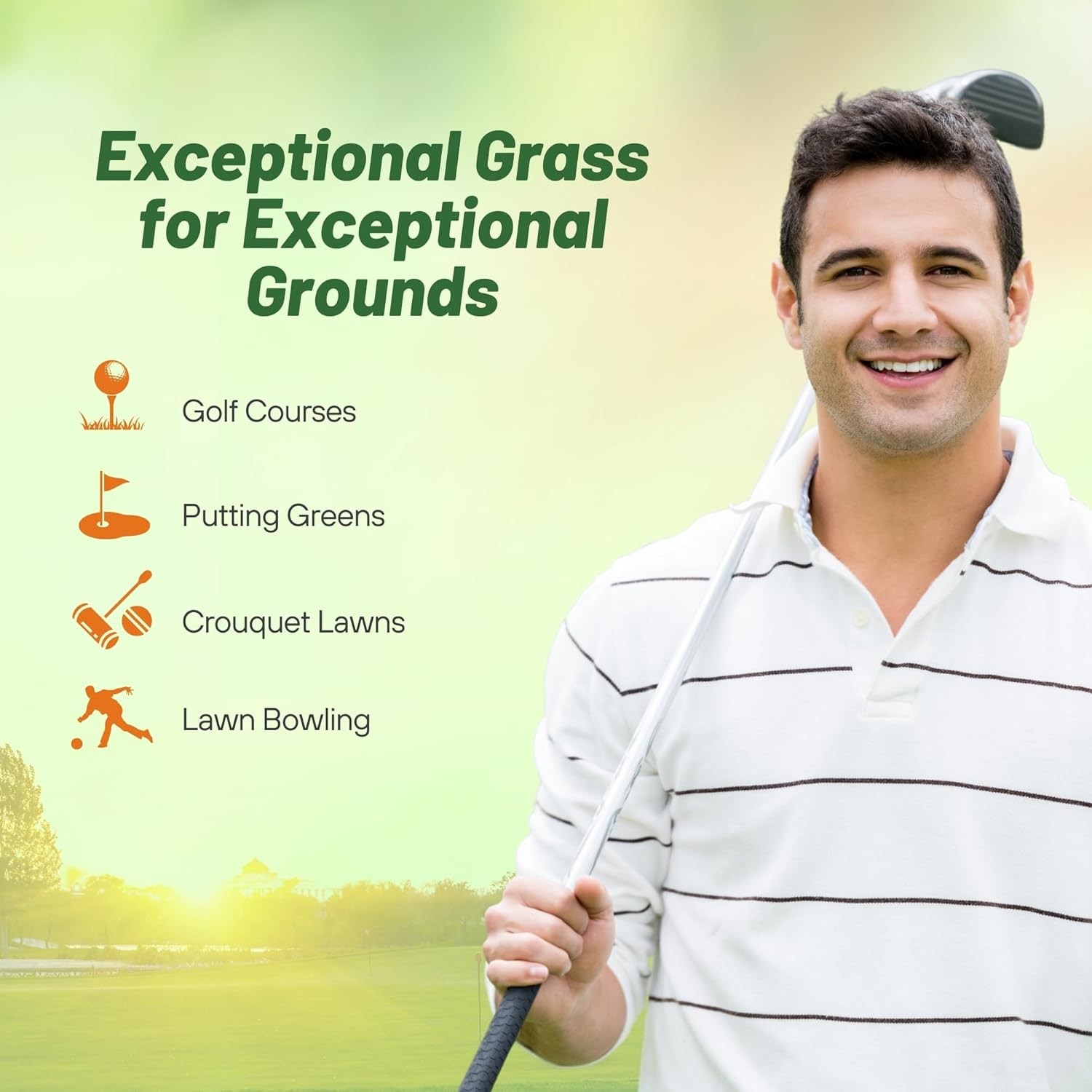 25 LBS PC2.0 Penncross Creeping Bent Grass Seed – Putting Green Seed