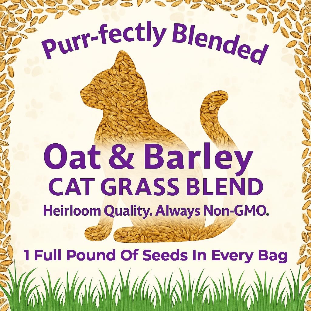 Premium Cat Grass Seeds for Indoor Cats NonGMO Oat & Barley Blend, 1 lb