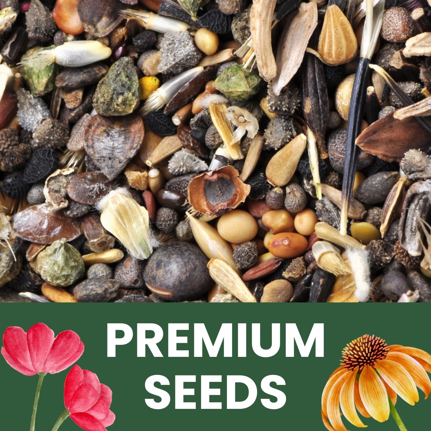 Black Eyed Susan Bulk 1/4 Pound Pouch 400,000 Flower Seeds for Planting Ru…