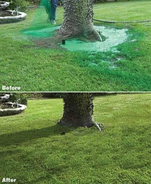 Eco-Friendly Liquid Lawn Refill Pack – Covers Up to 400 sq. ft. Effortlessly