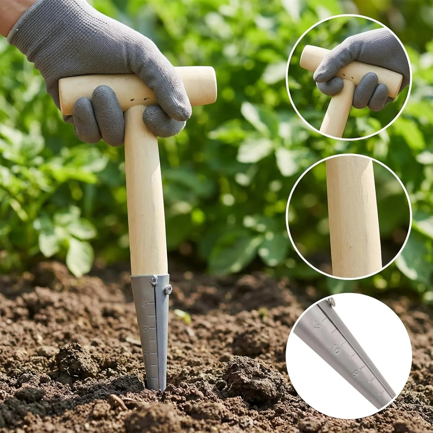 T-Shaped Garden Seed Dibber with Depth Measurements – Stainless Steel Bulb Plant