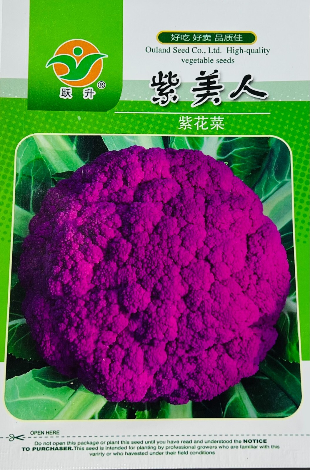 Non-GMO Asian Vegetable Purple Cauliflower Seeds 50+Seeds 2023NEW!