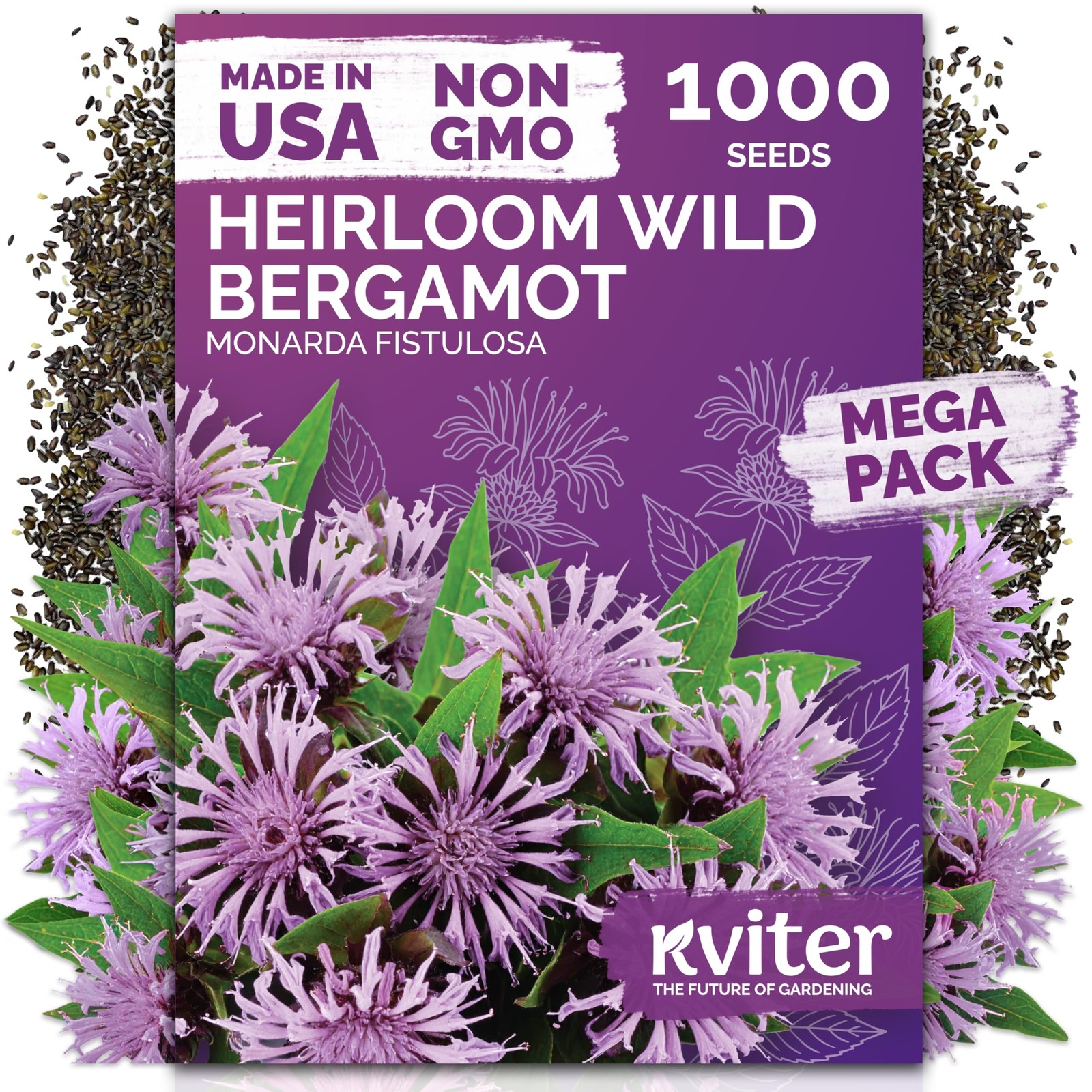 KVITER 1,000 Wild Bergamot Seeds for Planting (Monarda fistulosa)