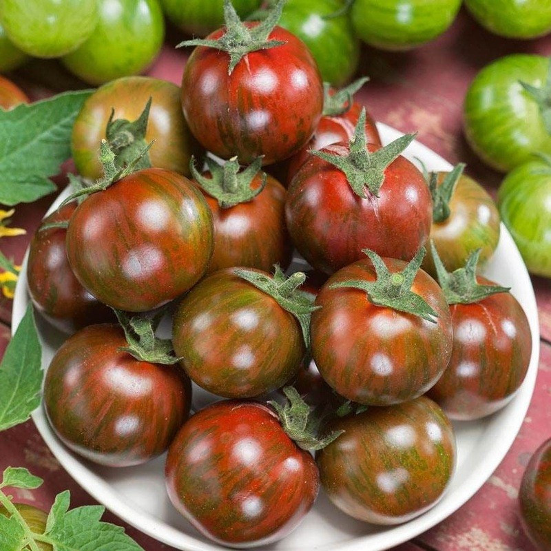 30+ Gum Drop Black Cherry Tomato Seeds — NUTRIENT PACKED!! ——- RARE