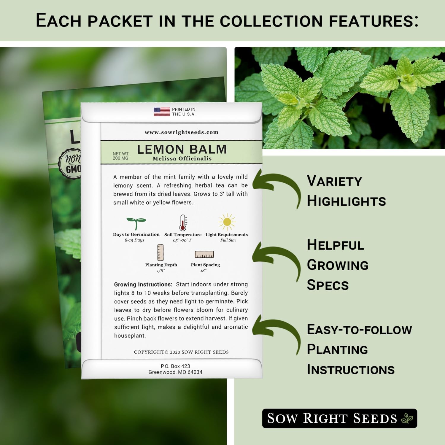 – 15 Herb Garden Seed Collection for Planting – Essential Herbs for Cooking -…
